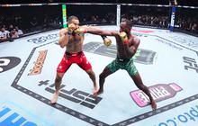 UFC Fight Night 2025 Bakal Digelar di Indonesia Arena