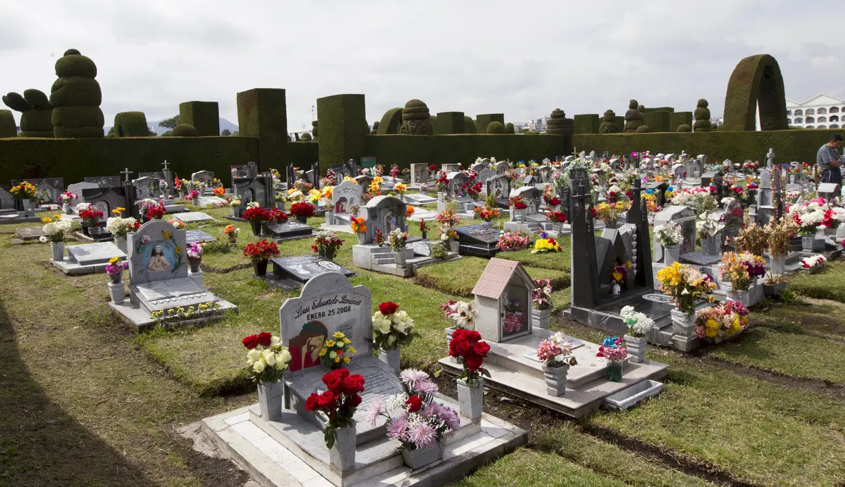 Makam Tulcan di Ekuador ramai dikunjungi wisatawan karena keunikannya. Di Tulcan banyak terdapat pohon dengan aneka bentuk yang unik, Senin (2/11/2015). (Reuters/ Guillermo Granja)