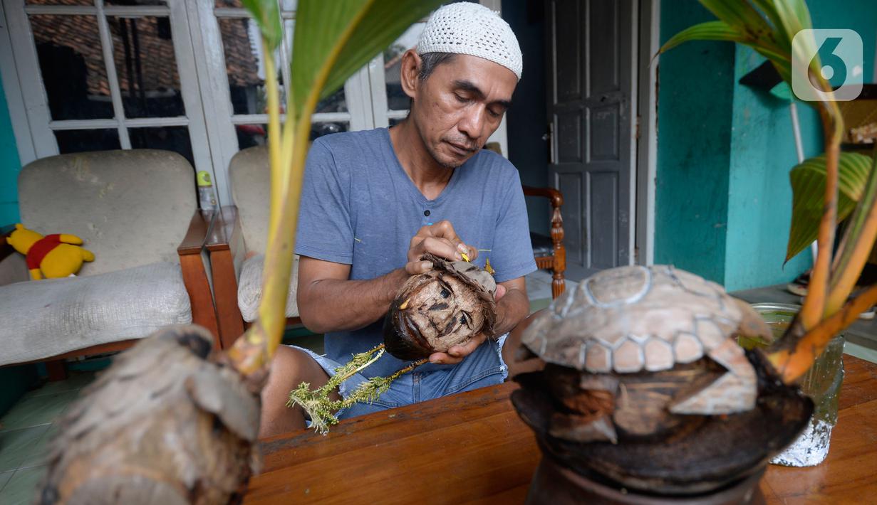 FOTO: Bonsai Kelapa, Tanaman Hias Unik yang Sedang ...