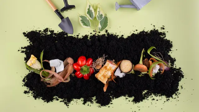 Bukan Sekadar Trend! Begini Cara Menerapkan Gaya Hidup Zero Waste di Rumah - 5