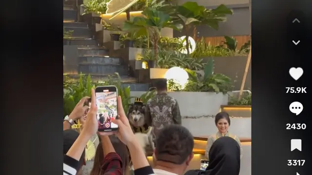 Potret Resepsi Pernikahan Anjing Berbalut Busana Adat, Orang Kaya Gabut Begini Amat. Foto: tangkapan layar Tiktok @neverendingchilllife.