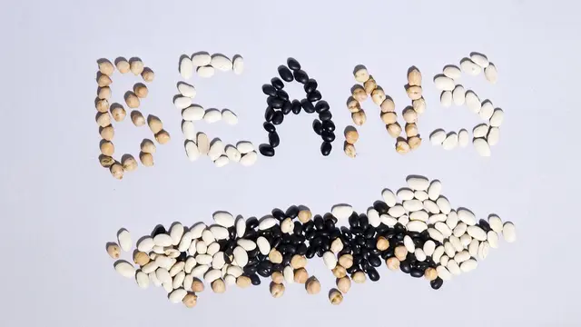 Ilustrasi kacang navy oleh OpenRoadPR dari Pixabay.