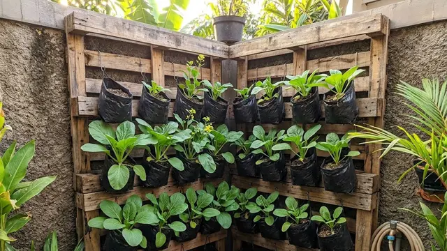 Rak Kayu Bekas Palet dengan Polybag Gantung
