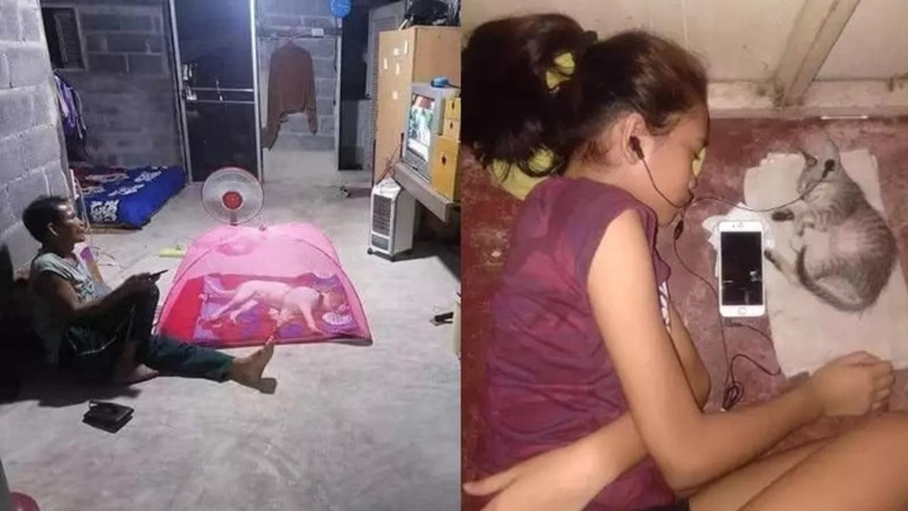 7 Momen Nyeleneh Orang Manjakan Hewan Peliharaan Ini Kocak Banget