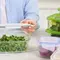 Pisahkan Bahan Mentah dan Masakan dengan Food Container Terbaik, Ini Rekomendasinya
