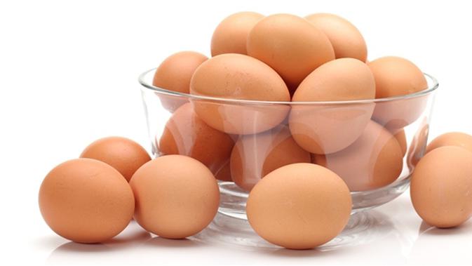 Jenis jenis Telur  Ayam  Telur  Organik Beauty Fimela com