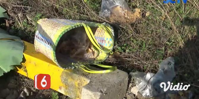 VIDEO: Pasutri Tewas Ditabrak KA Barang dari Jakarta ke Surabaya