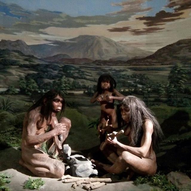 3 Jejak Nenek Moyang Manusia Di Bumi Indonesia Global Liputan6 Com