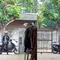 Eksibisionis Bikin Geger Penghuni Panti Asuhan Putri