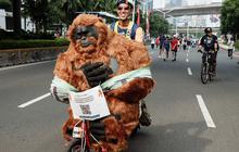 FOTO: Gowes Berkostum Orangutan di Jakarta, Seruan untuk Selamatkan Habitat Satwa Langka