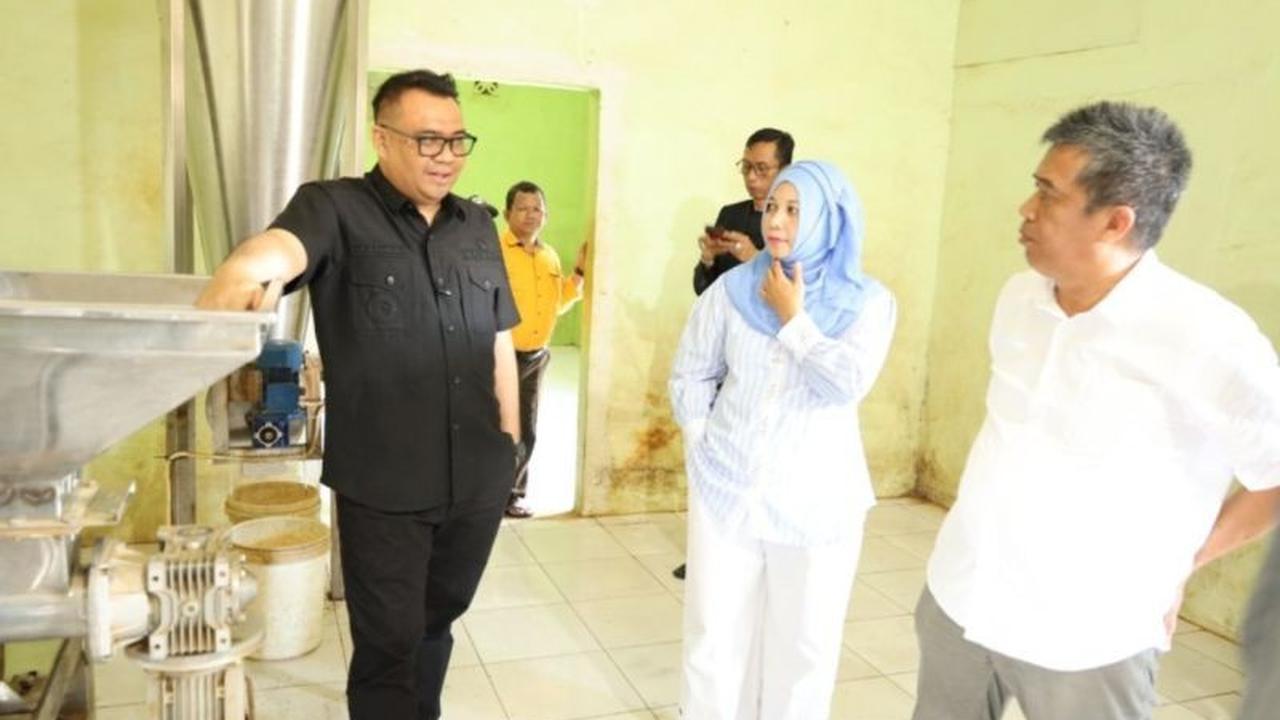 Strategi Kukar: Industri Kratom Jadi Andalan Dongkrak PAD di Tengah Transisi Ekonomi