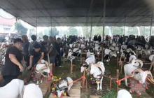 Pesta Patok Tasikmalaya: Bupati Sebut Tumbuhkan Kualitas dan Ekonomi Peternak