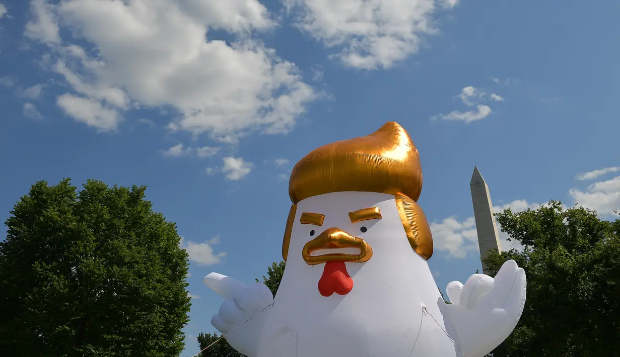 Sebuah balon raksasa berbentuk ayam diletakkan di sebuah taman di belakang Gedung Putih, Washington DC, 9 Agustus 2017. Balon ayam raksasa berukuran 23 kaki atau sekitar tujuh meter itu dengan rambut emas dan jari menunjuk Gedung Putih. (Mandel NGAN/AFP)