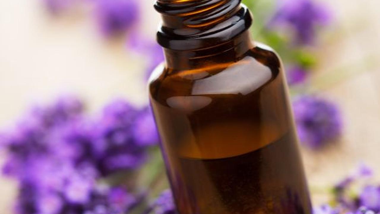 4 Khasiat Lavender Oil yang Jarang Diketahui Banyak Orang, Salah Satunya Bisa Meredakan Insomnia