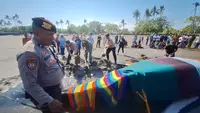 Paus Bungkuk Terdampar di Bali, Kondisi Mengenaskan