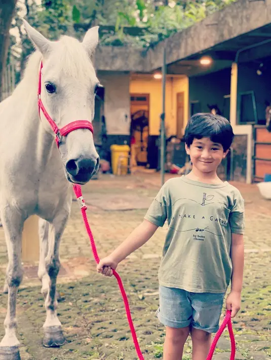 Kuda baru Nagita Slavina (Instagram/raffinagita1717)