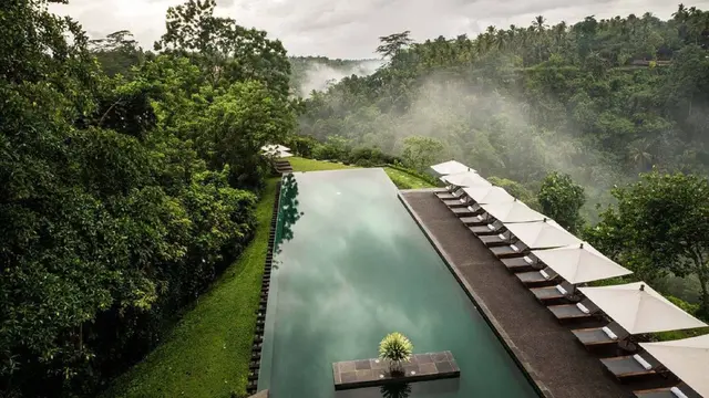 Infinity Pool Alila Ubud, Bali.