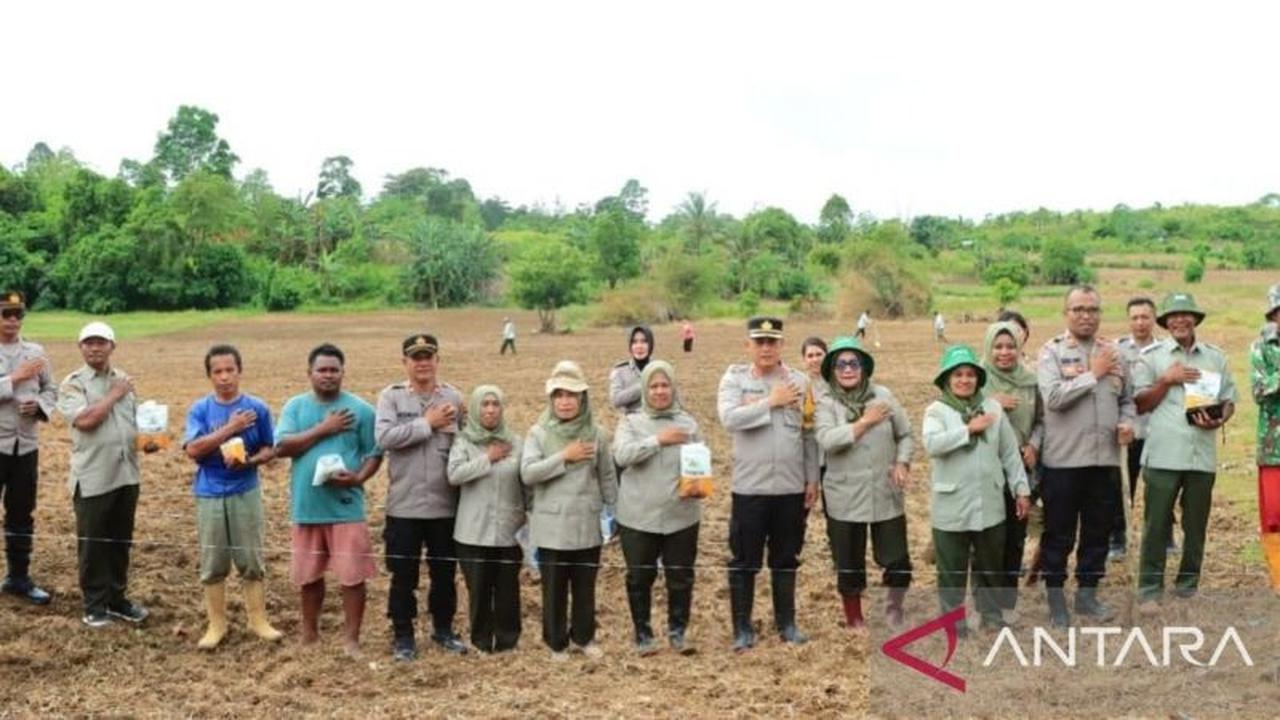 Polresta Ambon Dukung Ketahanan Pangan Nasional dengan Tanam Jagung Hibrida