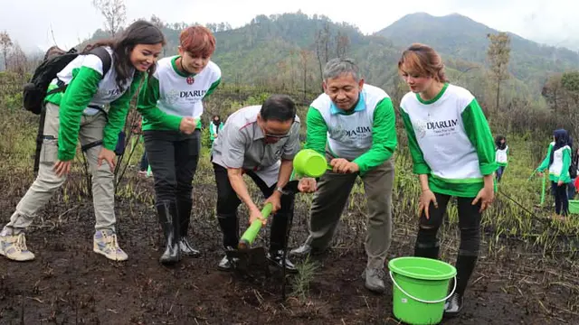 Menanam Pohon Cemara di Kawasan Ijen Bersama Djarum Foundation