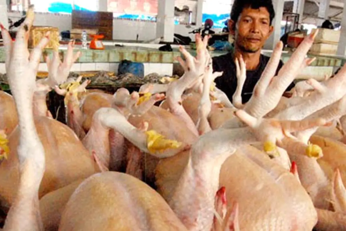 daging-ayam-130717b.jpg