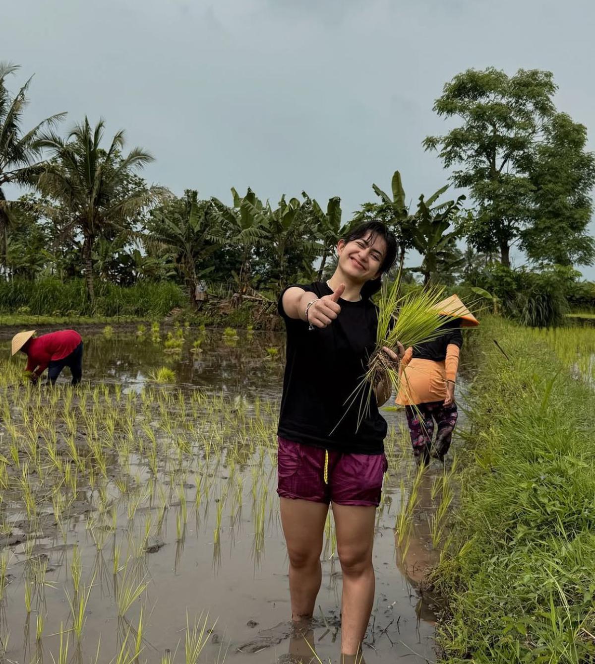 Potret Sintya Marisca Nyemplung ke Sawah Bantu Petani Menanam Padi