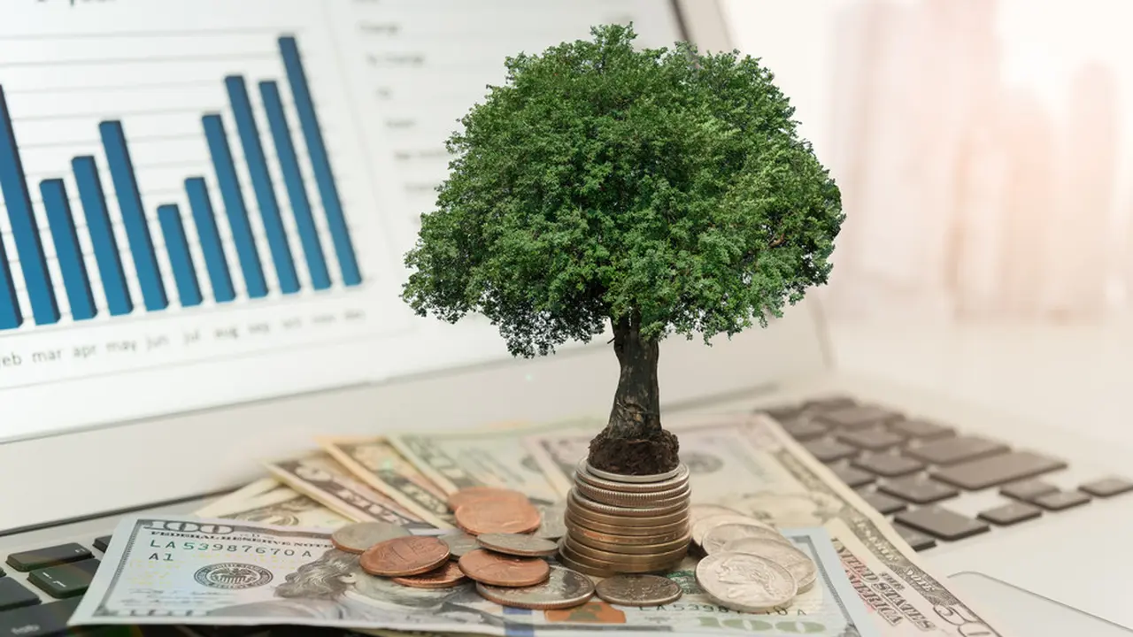 Investasi Adalah Kegiatan Menanam Modal, Ketahui Jenis dan Strateginya