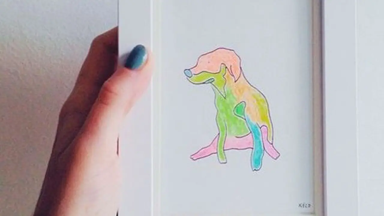 Anjing Pelangi yang Nggak Kalah Ceria dengan Kamu Setelah Gajian