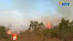 Kebakaran juga meghasilkan asap yang cukup pekat, sehingga mengganggu arus lalu lintas dari dan keluar kota.