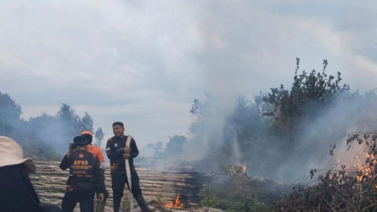 BNPB Laporkan Kebakaran Hutan di Tiga Provinsi Meski Musim Hujan Puncak