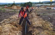 Gerindra Jateng Soal Food Estate: Mending, daripada Tidak Bikin
