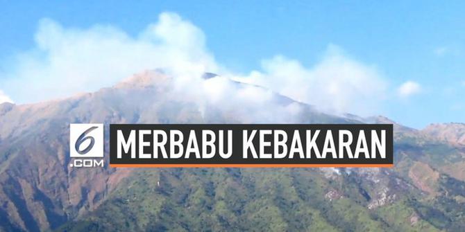 VIDEO: Gunung Merbabu Terbakar, Pendaki Dievakuasi