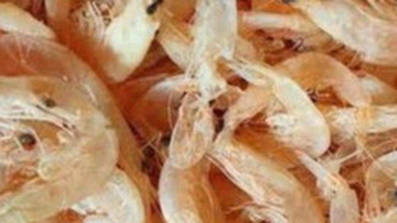 3.&nbsp;Udang Rebon: Keajaiban Gurih dalam Kecil