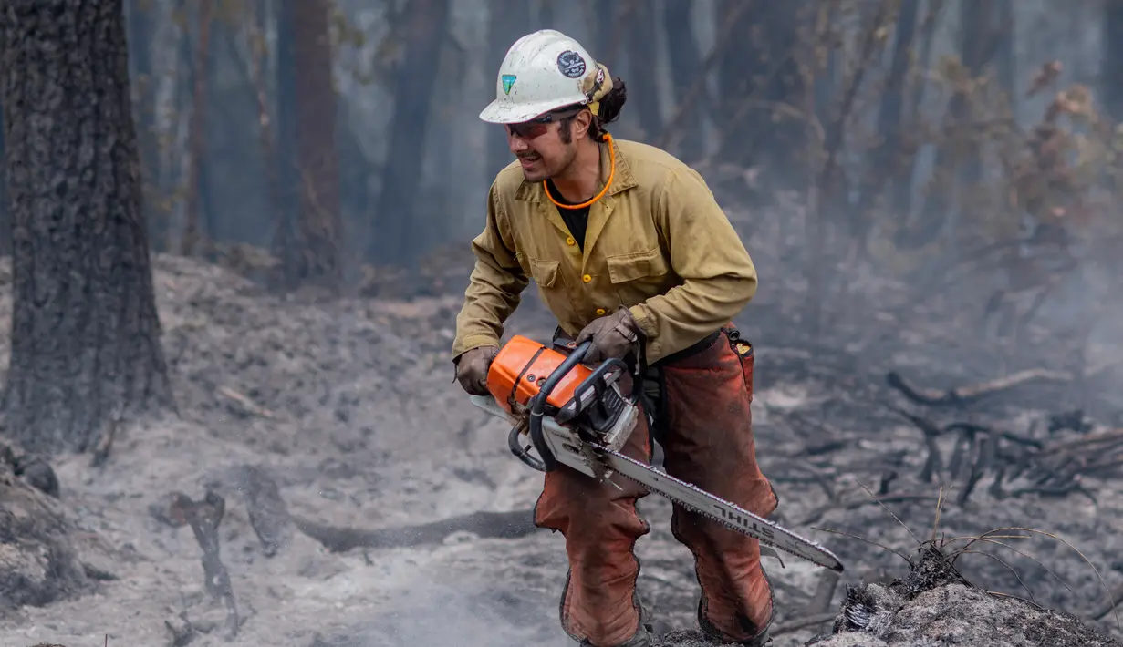 <p>Seorang petugas pemadam kebakaran bekerja untuk menahan api Cedar Creek di sebelah timur Oakridge, Oregon, Senin (12/9/2022). Kebakaran di Cedar Creek merupakan satu di antara 21 kebakaran di Oregon. (Photo by Dan Morrison/AFP)</p>