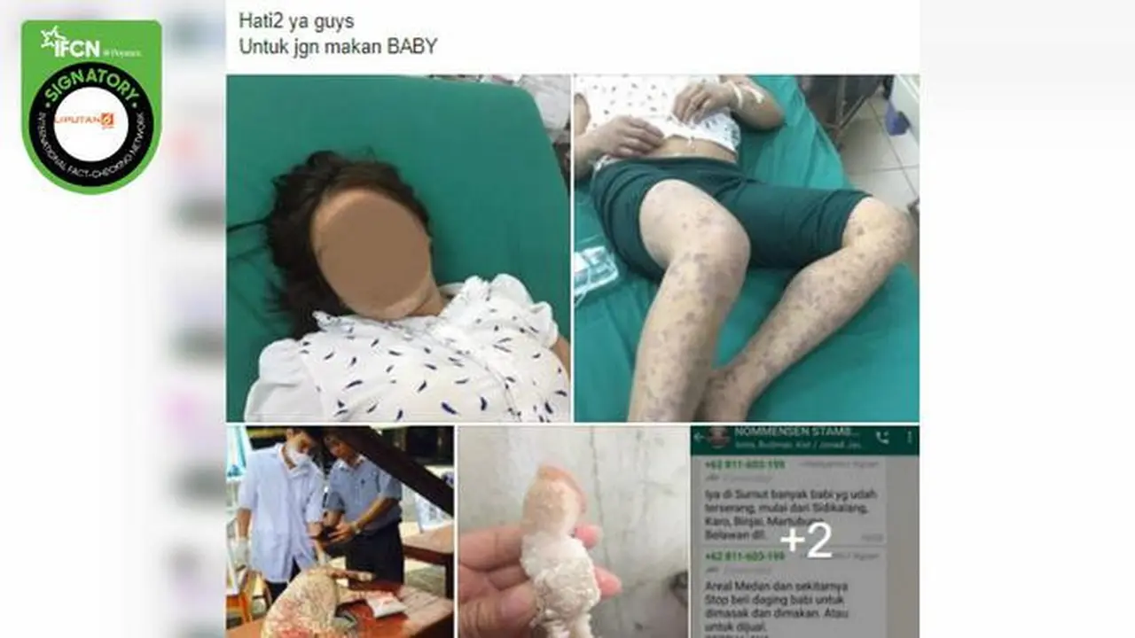 [Cek Fakta] Benarkah Penyakit Babi yang Bisa Mematikan Manusia Sedang Menyebar?