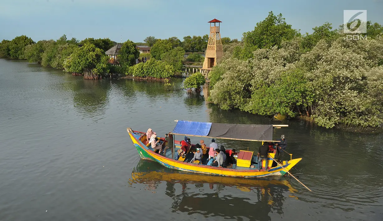 <p>Perahu wisata melintasi kawasan hutan mangrove di Wisata Mangrove, Tarumajaya, Bekasi, Minggu (30/12). Wisata yang berbatasan dengan kawasan Marunda Jakarta Utara awalnya merupakan Pusat Restorasi dan Pembelajaran Mangrove. (merdeka.com/Arie Basuki)</p>
