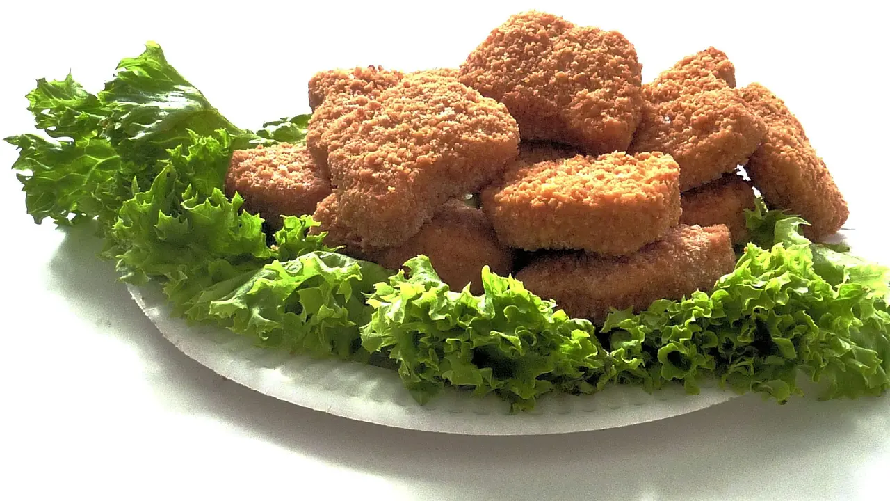 nugget tempe teri