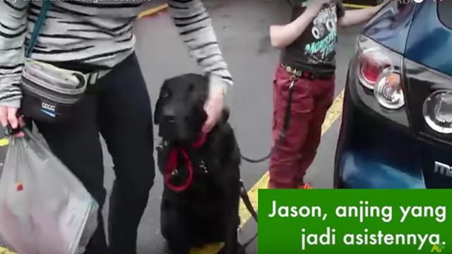 Keberadaan anjing sebagai asisten bagi anak-anak autistik bisa membantu. Seperti pengalaman yang diceritakan oleh seorang ibu dari kota Melbourne dalam video ini