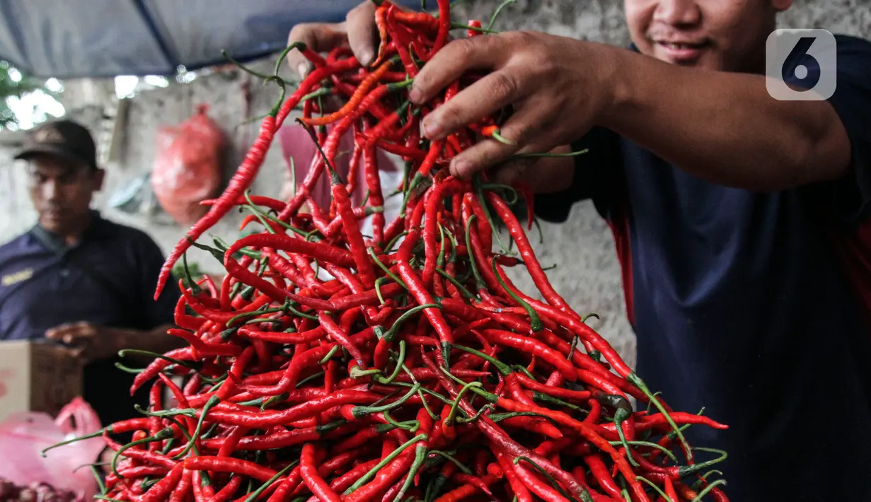 Pedagang kebutuhan pokok khususnya cabai merapikan di Pasar Kebayoran Lama, Jakarta, Rabu, (13/7/2022). Untuk harga setengah kilogramnya kisaran Rp 70.000, untuk harga cabai rawit Rp 120.000 per kilogram. (Liputan6.com/Johan Tallo)khususnya Cabai di Pasar Kebayoran Lama, Jakarta, Rabu, (13/7/2022). Untuk harga setengah kilogramnya kisaran Rp 70.000, untuk harga cabai rawit Rp 120.000 per kilogram. (Liputan6.com/Johan Tallo)