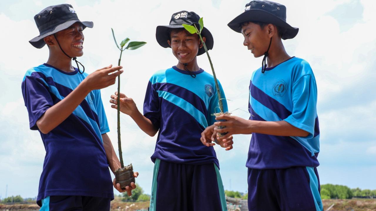 BRI Ajak Generasi Muda Jaga Ekosistem Lingkungan Melalui Penanaman Mangrove dan Pengelolaan Limbah Plastik