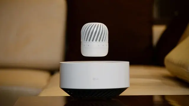 LG