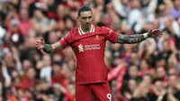Di babak kedua, pada menit ke-51, Darwin Nunez membuat kedudukan menjadi imbang 1-1 usai menerima umpan dari Luiz Diaz. (Paul ELLIS/AFP)