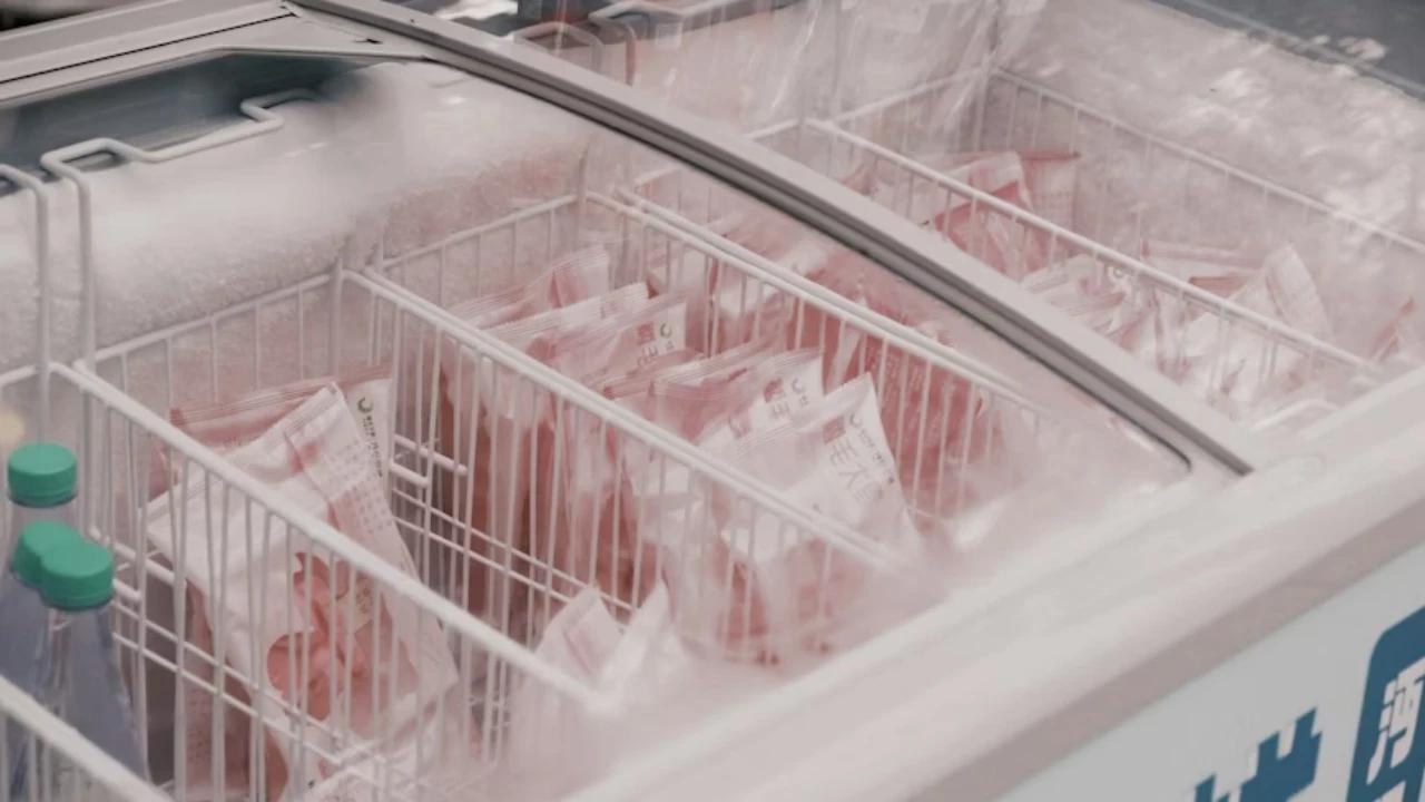 7 Cara Mudah Memilih Freezer untuk Bisnis Makanan, Panduan Praktis Pemula Buka Usaha