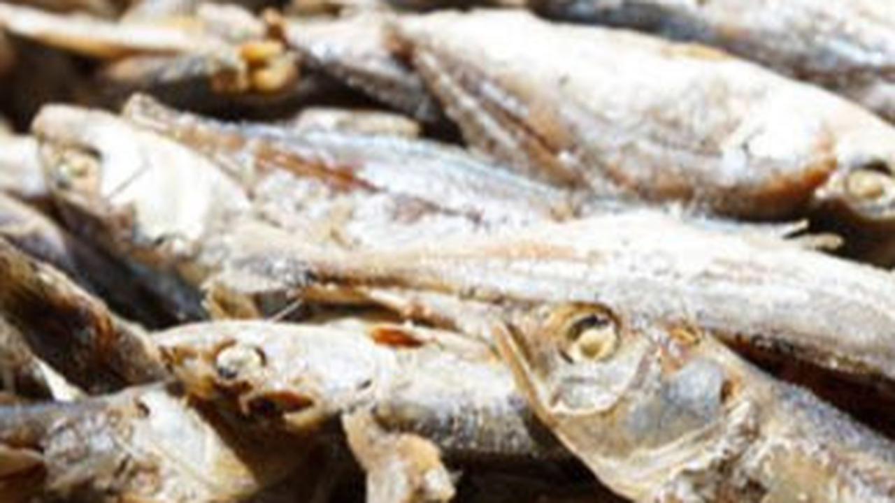 Cara Mudah Mengurangi Rasa Asin Pada Ikan Asin