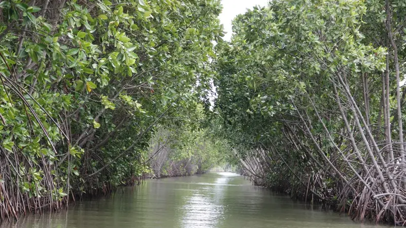 Pulau Hantu Brebes