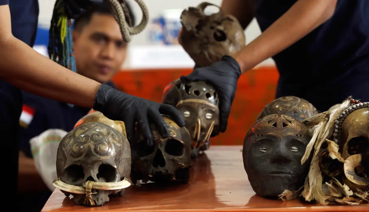 Petugas Bea Cukai menunjukan tengkorak manusia yang akan diselundupkan saat konferensi pers di Kantor Pos Denpasar, Bali, (9/2). 24 tengkorak manusia tersebut diduga diperoleh dari Kalimantan dan Papua. (AP Photo / Firdia Lisnawati)