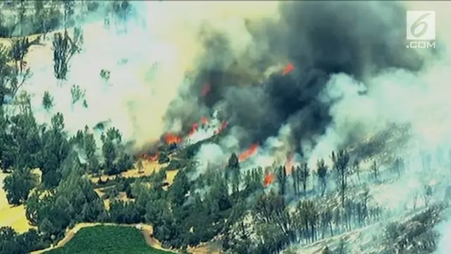 VIDEO: Kebakaran Hutan California, Ribuan Warga Mengungsi