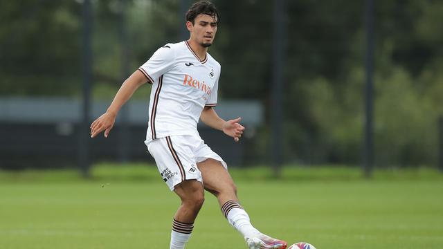 Bek Swansea City, Nathan Tjoe-A-On.