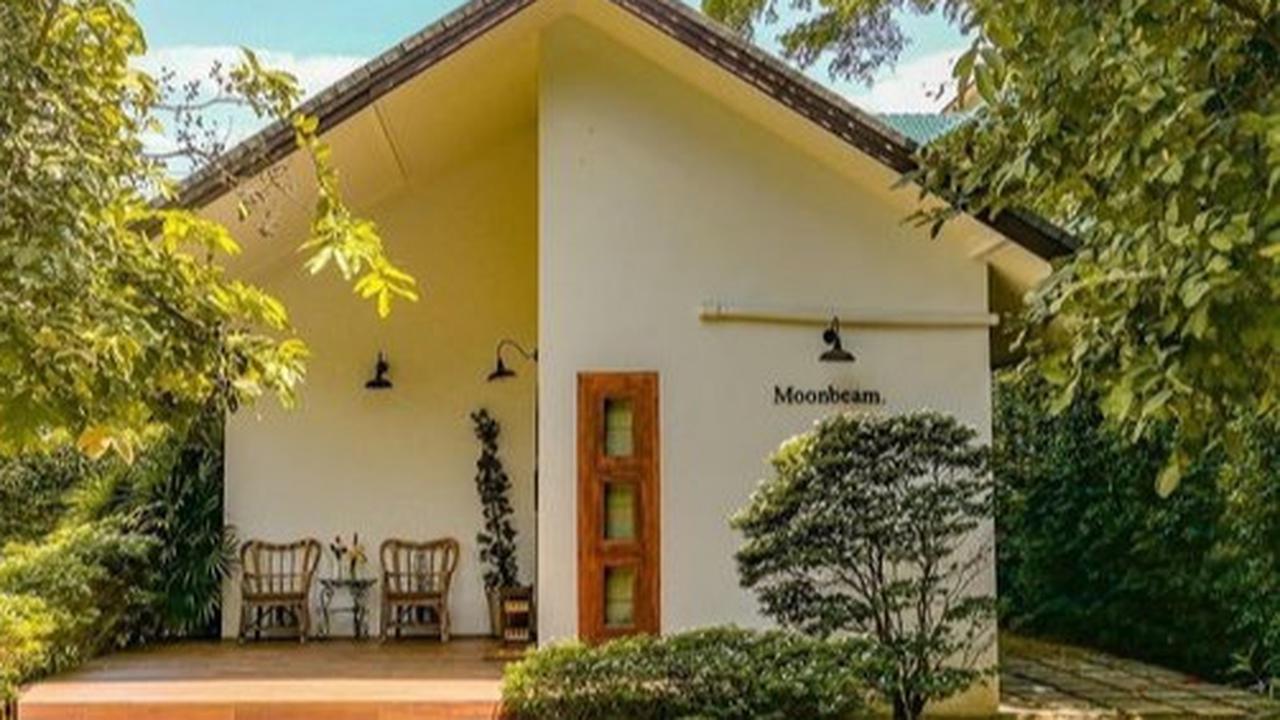 Ide Desain Rumah Minimalis 3 Kamar untuk Jadi Hunian Idaman yang Nyaman dan Elegan