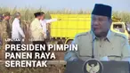 Presiden Prabowo Subianto memimpin langsung jalannya panen raya terintegrasi secara serentak di 43 titik di Indonesia. Aksi nyata yang dipusatkan di Kabupaten Malang, Jawa Timur, ini merupakan langkah strategis pemerintah dalam mempercepat terwujudny...