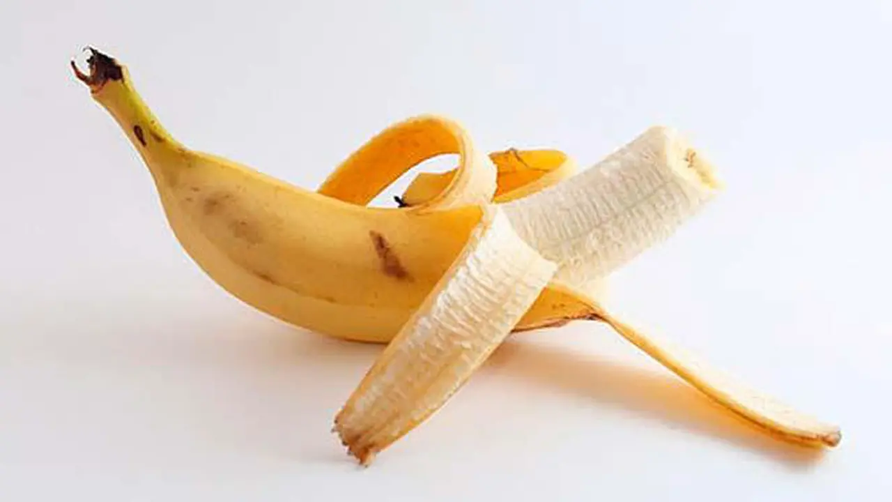 [Bintang] Penis